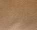 Cognac.Inf